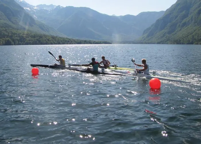 아파트 - Ana 보히니