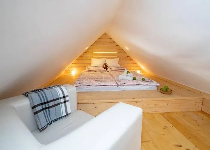 公寓 - Ana 博希尼