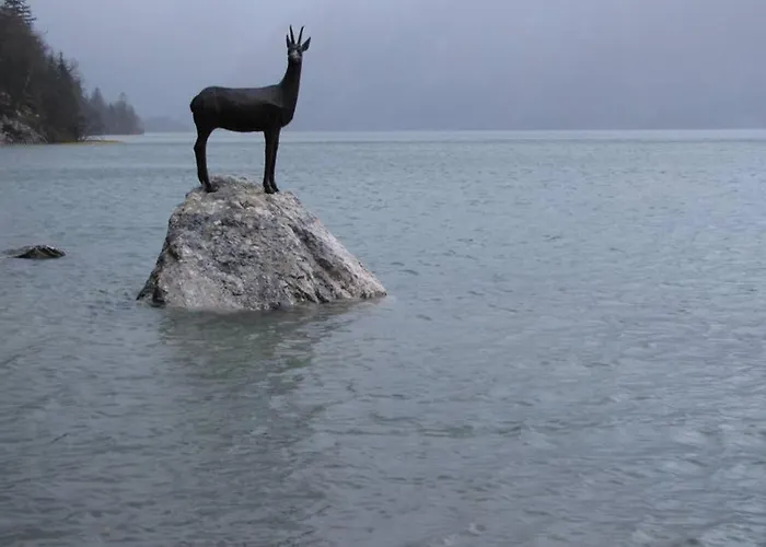 - Ana 아파트 보히니